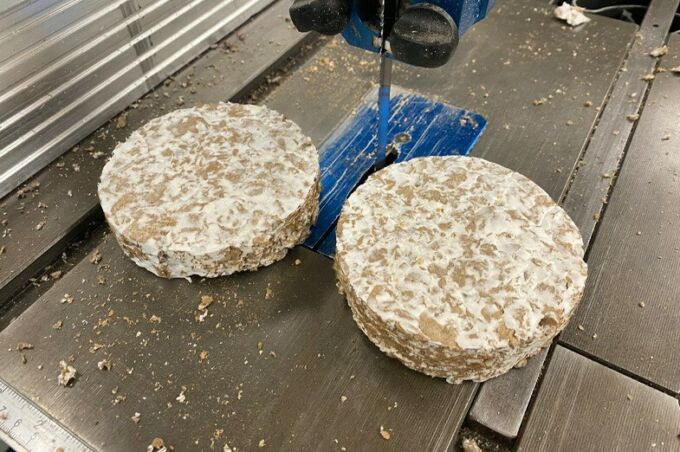 Samples of mycelium being grown on biomaterials are shown on the platform of a table saw.