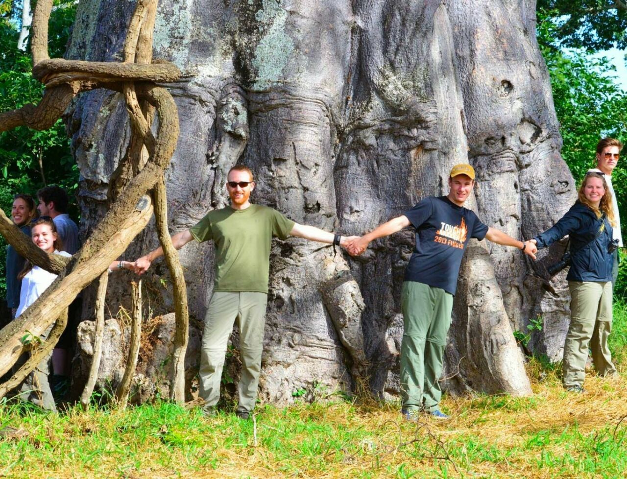 A group of students with arms outstretched around huge tree trunk