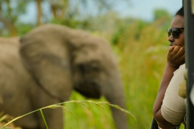 a student in profile with elephant in background, out of focus
