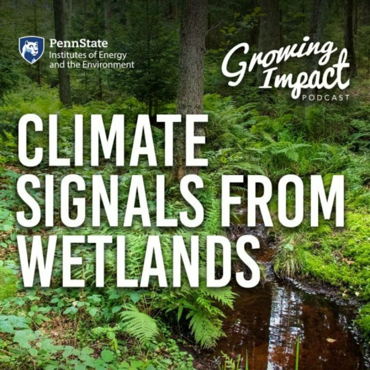Very green ferns and other foliage in a wetland are the background with the text Climate Signals from Wetlands overtop in white and a script font logo for Growing Impact Podcast