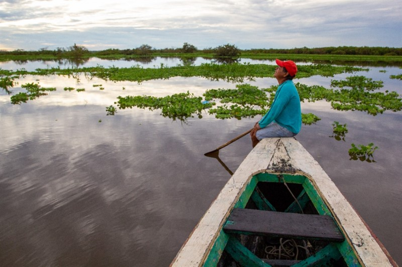 A man sitting on the edge of a rowboat on a river dotted with vegetation.