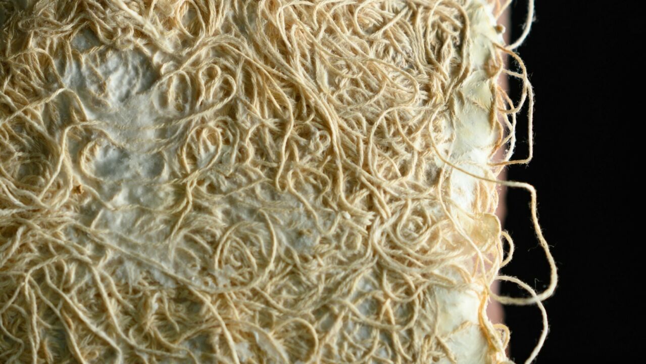 Close up texture of mycelium spores on linen from Felicia Davis research related to textile architecture, bio-sensing smart garments that can improve health outcomes.