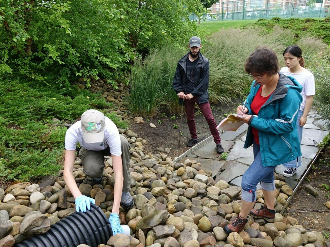 Group of four research students gathered around a storm drain.