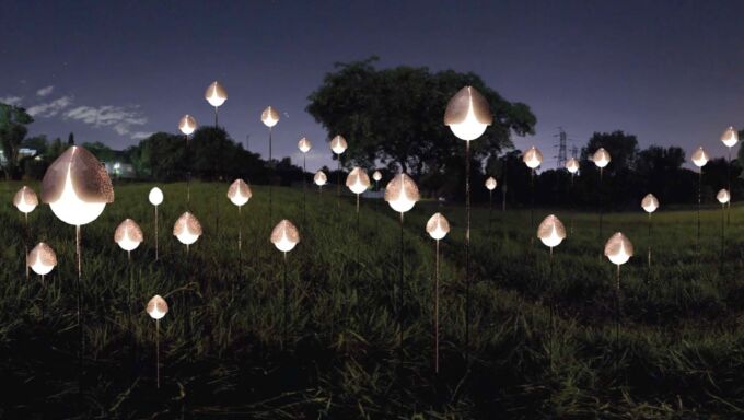 Glowing firefly-like sculptures arrayed across a dark, nighttime field as part of the "Luminos" energy art installation.