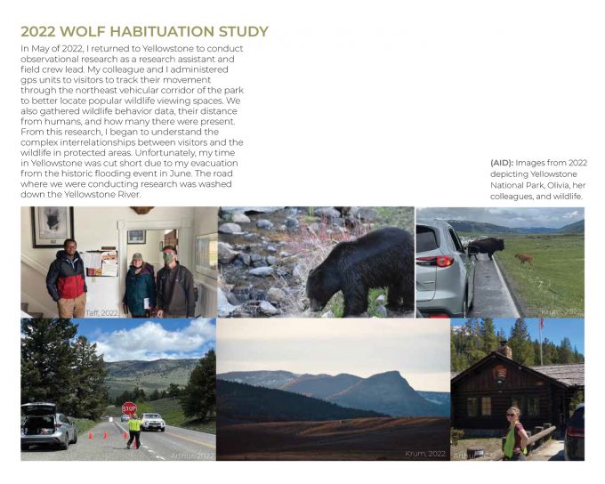 Photos and text summarizing Olivia Krum's 2022 Wolf Habituation Study.