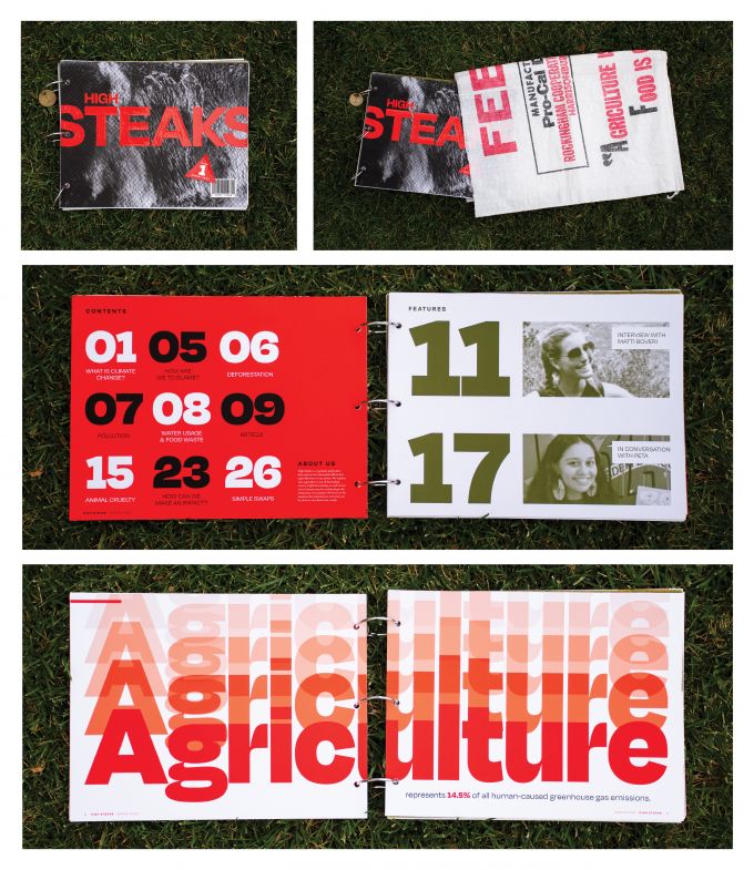 Inside spreads of High Steaks magazine