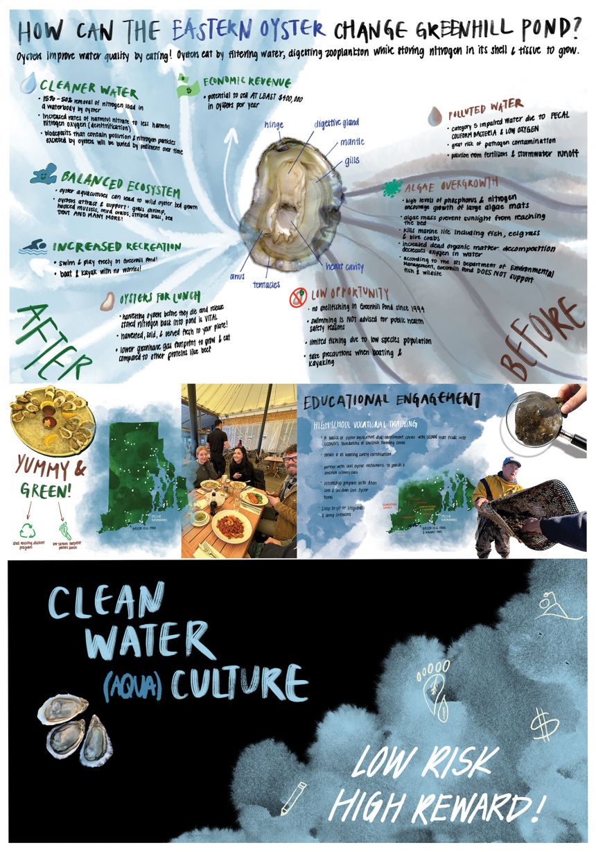 A colorful poster showing how the Eastern Oyster can change Greenhill Pond.