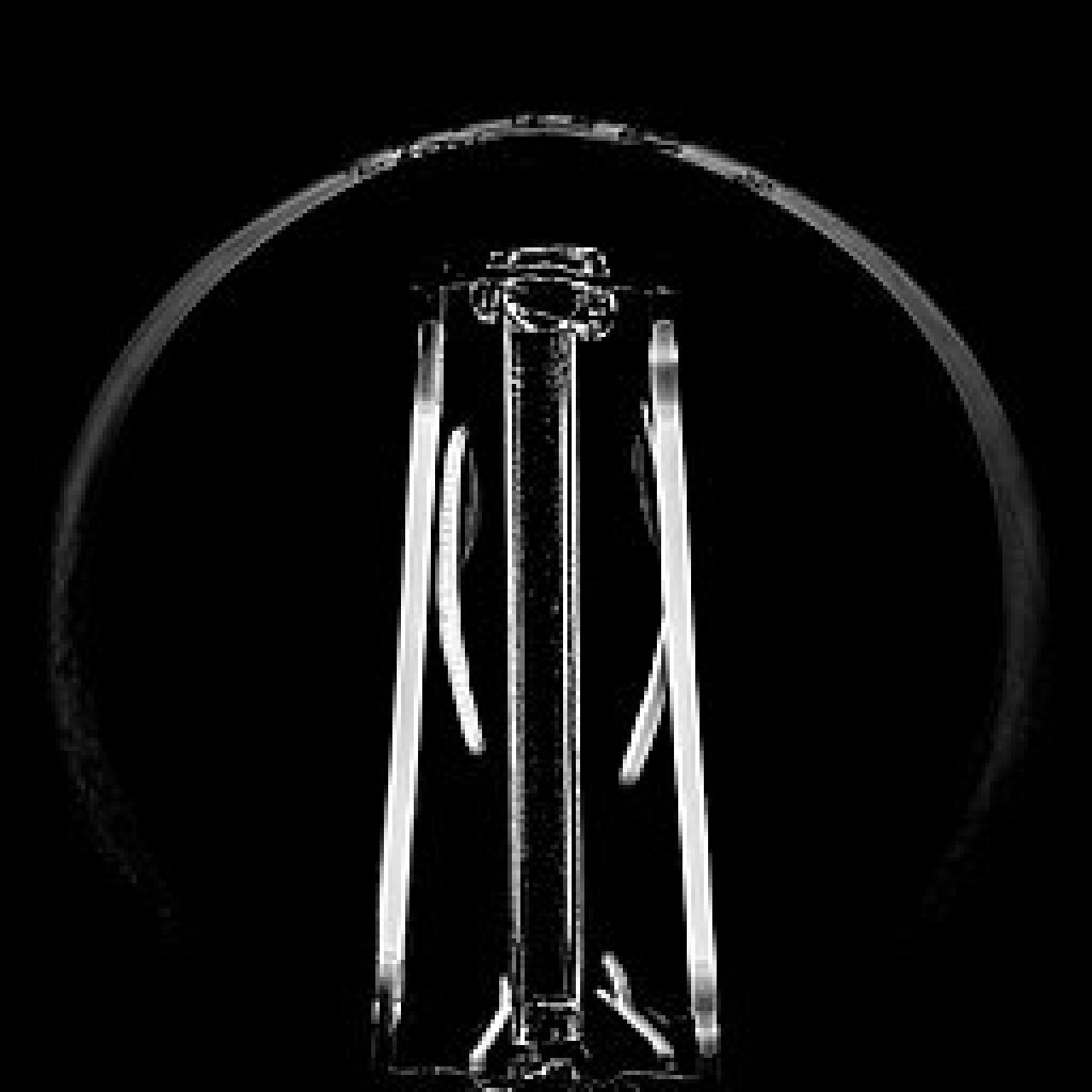 In a silhouette photo, the outline of an incandescent lightbulb is shown, as is the filament inside the bulb.