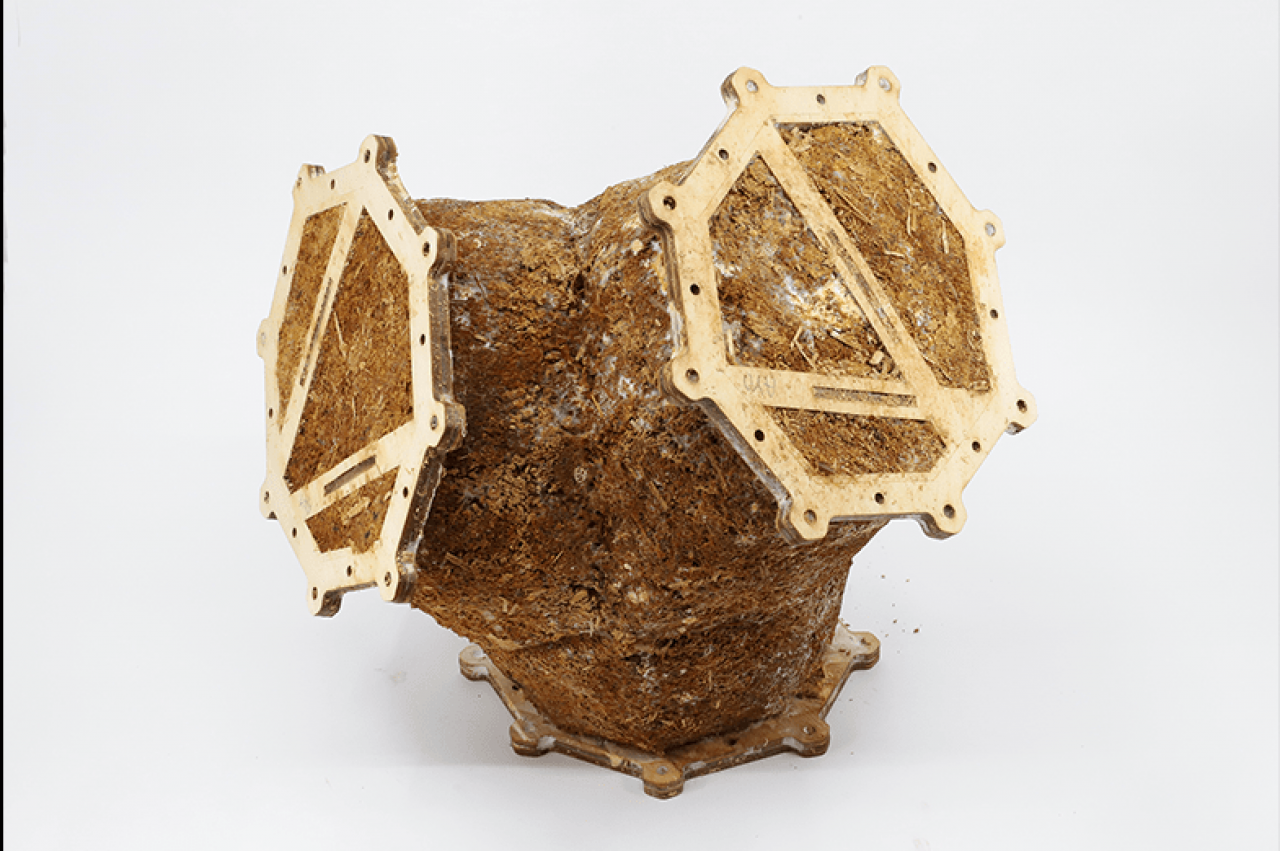 : A structural mycelium-based component prototype