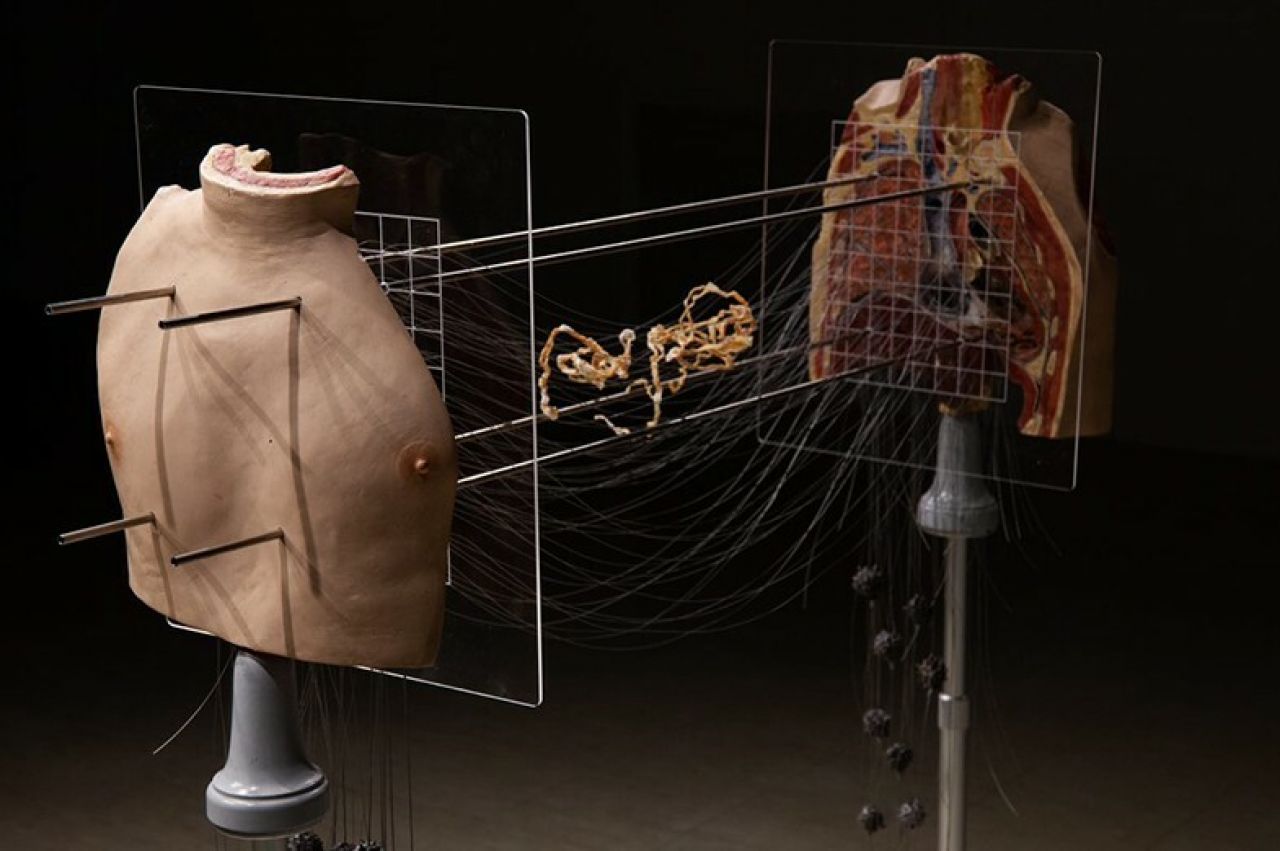 3D sculpture of a a torso split in half with iron rods connecting the two