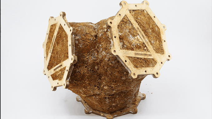 : A structural mycelium-based component prototype