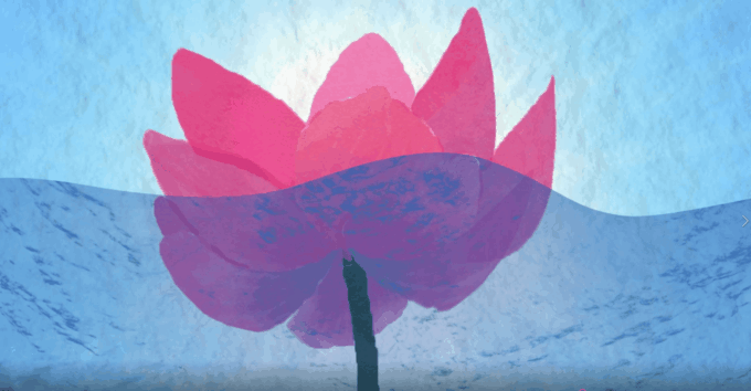Pink flower on blue background in process of being animated