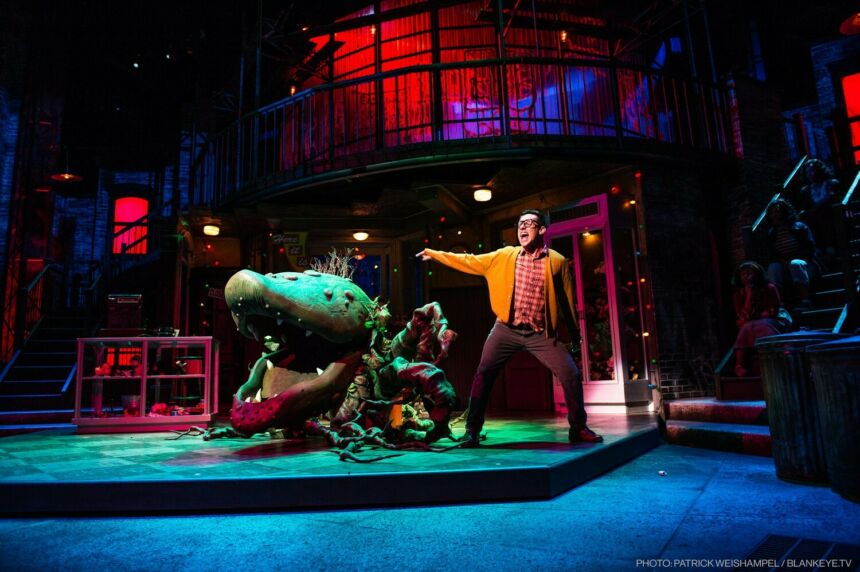 Production still of "Little Shop of Horrors" star with Venus flytrap, Audrey II