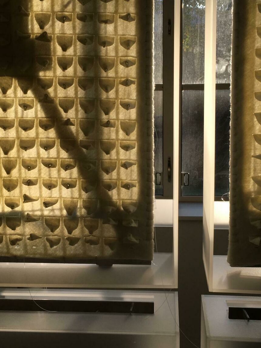Close-up photo of textured fabric panels mounted on metal frames, backlit by sunlight.
