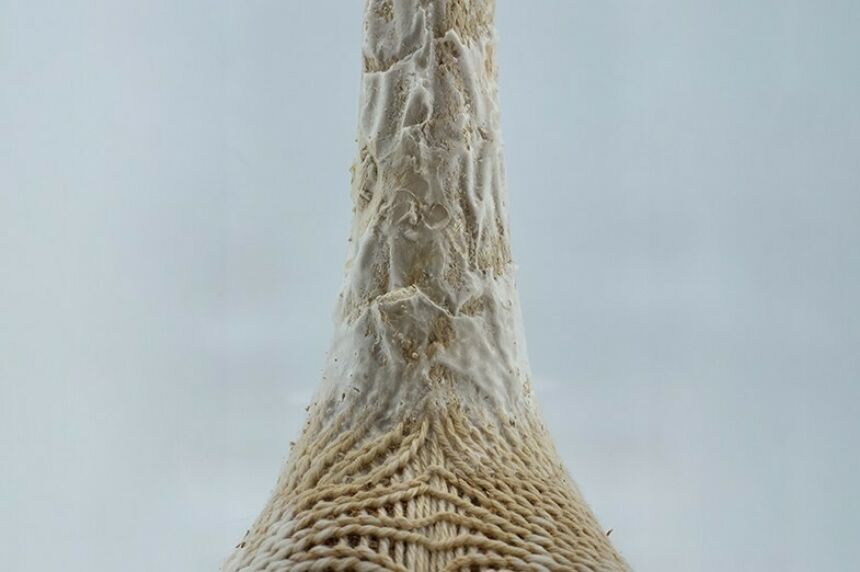 A closeup view of the MycoKnit tube on which the mycelium-based composite is growing.